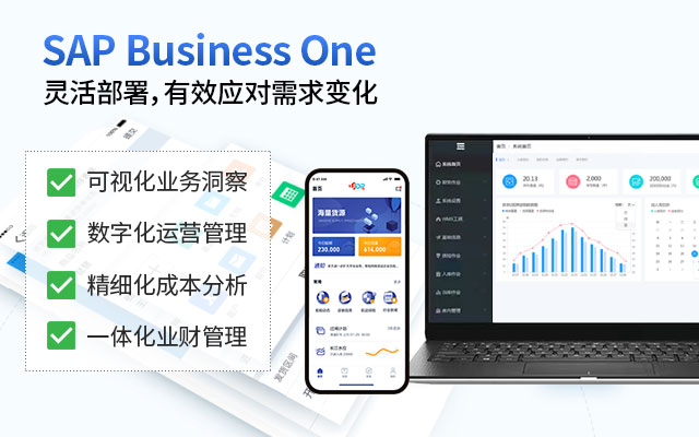 SAP Business One SAP系統(tǒng) ERP系統(tǒng) SAP ERP 企業(yè)管理ERP系統(tǒng)