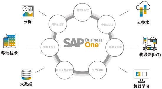 SAP,B1,SAP B1,SAP Business One,Business One,中小企業(yè)ERP,SAP中小企業(yè)ERP,中小企業(yè)數(shù)字化方案,SAP中小企業(yè),SAP重慶達策