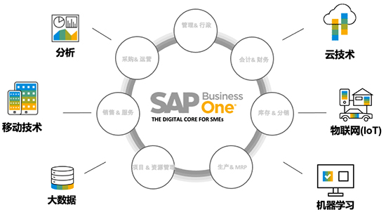 SAP Business One,中小企業(yè)SAP,SAP中小企業(yè),中小企業(yè)智能化管理,Business One